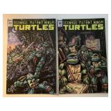 2 IDW COMICS TMNT #84 & 86