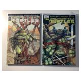 2 IDW COMICS TMNT #2 & 50