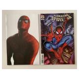 2 MARVEL COMICS THE AMAZING SPIDER-MAN 2/#50