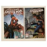 2 MARVEL COMICS THE AMAZING SPIDER-MAN #1 & 16.1
