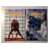 2 IDW COMICS TMNT #3 & 5 JENNIKA II