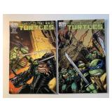 2 IDW COMICS TMNT #20 & 21
