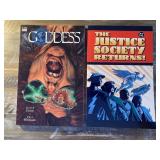 2 DC COMICS GRAPHIC NOVELS SEE PHOTOS