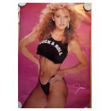 Poster Rock N Roll Janis