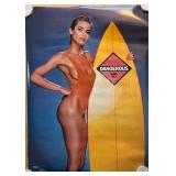 Poster Dangerous When Wet