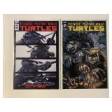 2 IDW COMICS TEENAGE MUTANT NINJA TURTLES #96, 114
