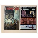 2 IDW COMICS TEENAGE MUTANT NINJA TURTLES 118, 120