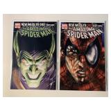 2 MARVEL COMICS THE AMAZING SPIDER-MAN #568, 570