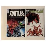 2 IDW COMICS TEENAGE MUTANT NINJA TURTLES #15, 16
