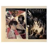 2 DC/VERTIGO COMICS SEE DESC. ADULT READ