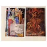 2 DC/VERTIGO COMICS SEE DESC. ADULT READ