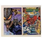 2 ASSORTED IMAGE COMICS SEE DESC.
