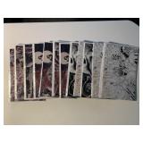 12 IMAGE COMICS ECHO LANDS 5/#5, 7/#6 ADULT READ