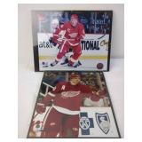 Detroit Red Wings NHL Licensed Plaques