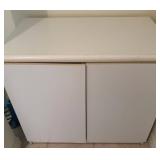 Two-Door Storage Cabinet