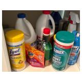 Household Cleaning Supplies Lot