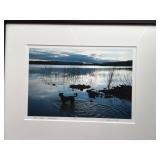 ï¿½Heron Lake ï¿½ Watchfulï¿½ by Roth