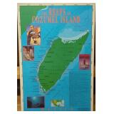 Reefs of Cozumel Island Framed Map