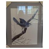 Nigel Shaw, Blue Jay, Framed Artwork on Paper, 198