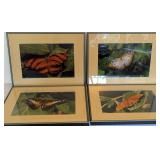 Photographic Prints of Butterflies