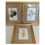 Botanical Prints Attributed to Frederick Edward Hu