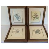 Bird Prints by Martin Glen Loates