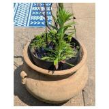 Terracotta Garden Pot with Lug Handles