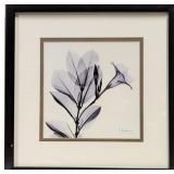 Albert Koetsier, Framed Botanical X-Ray Style Prin