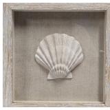 Contemporary Framed Scallop Shell