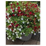 Wicker-Textured Planter