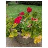Cast Stone Scalloped Garden Planter