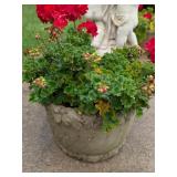 Cast Stone Garden Planter