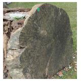LRG Timber log cross-section slab