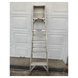 6ft Ladder