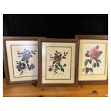 Earl Crowe Rose Pictures Set of 3