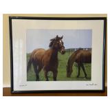 by Alan Kassoff, 2007 Horse Photo