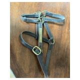 Horse Halter  (Zipp)