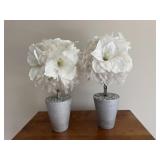 Pair Decorative White Flower Pots
