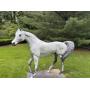 Horse Decor and Nice Furniture