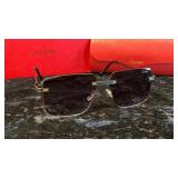 Designer Style Sunglasses