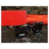 Designer Style Sunglasses