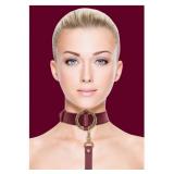 Collar with Leash