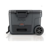 January #1 Truckload Liquidation Auction