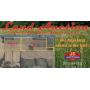 Stockton Land Auction
