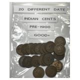 20 Different Pre-1900 Indian Head Cents