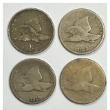 Flying Eagle Cent Flock of 4