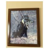 Bird dog picture 20ï¿½x22ï¿½