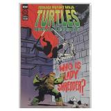 Teenage Mutant Ninja Turtles Urban Legends # 25