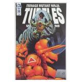 Teenage Mutant Ninja Turtles Urban Legends # 20