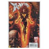 X-Men Legacy # 211 (Marvel Comics 2008)